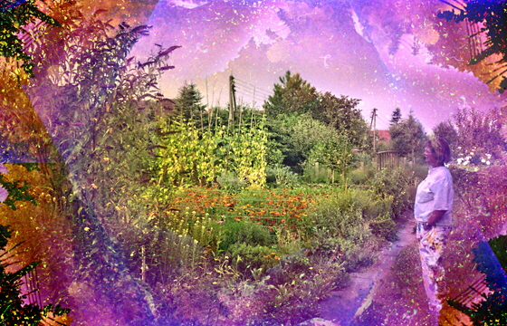 img413-Gehlenbeck 1992 - Inge mit Garten, pse7, corel, sharpen, Kaleidoskop, pse7a-560