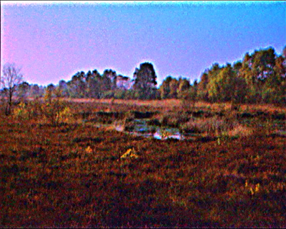 z=1973 - Moor mit Teich (S-14) - 243-sharpen - B560-2