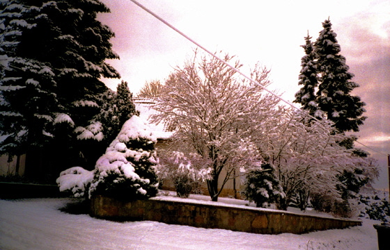 zz 05 - Tante Gerda003b - Haus im Winter-1 - 560 zz 05 - Tante Gerda003b - Haus im Winter-1 - 560